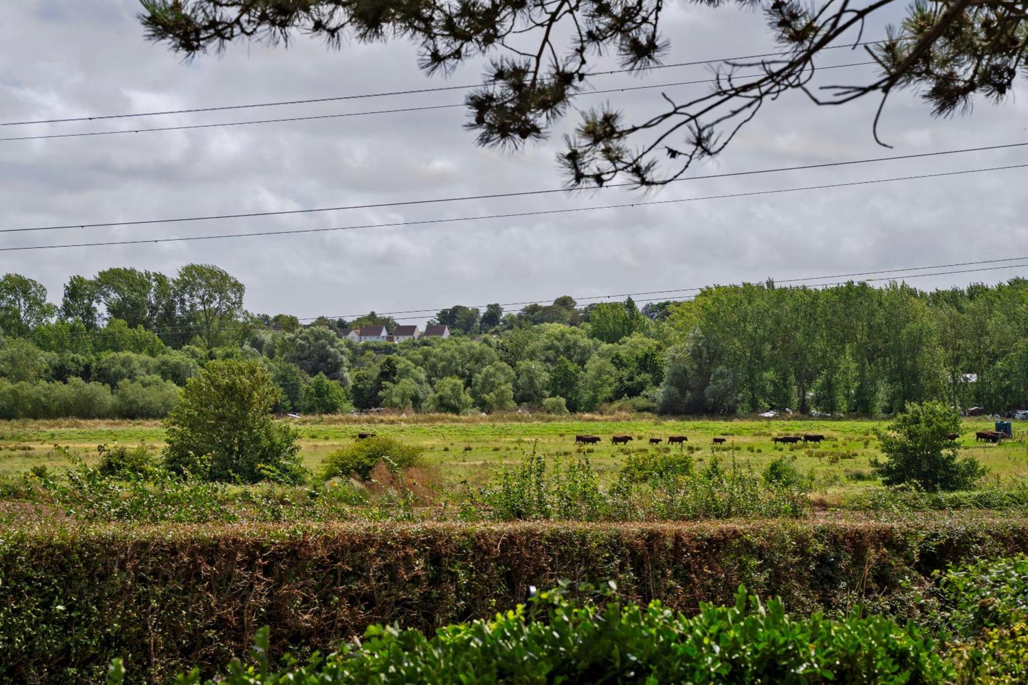 Owlet Lodge Chislet Bagian luar foto