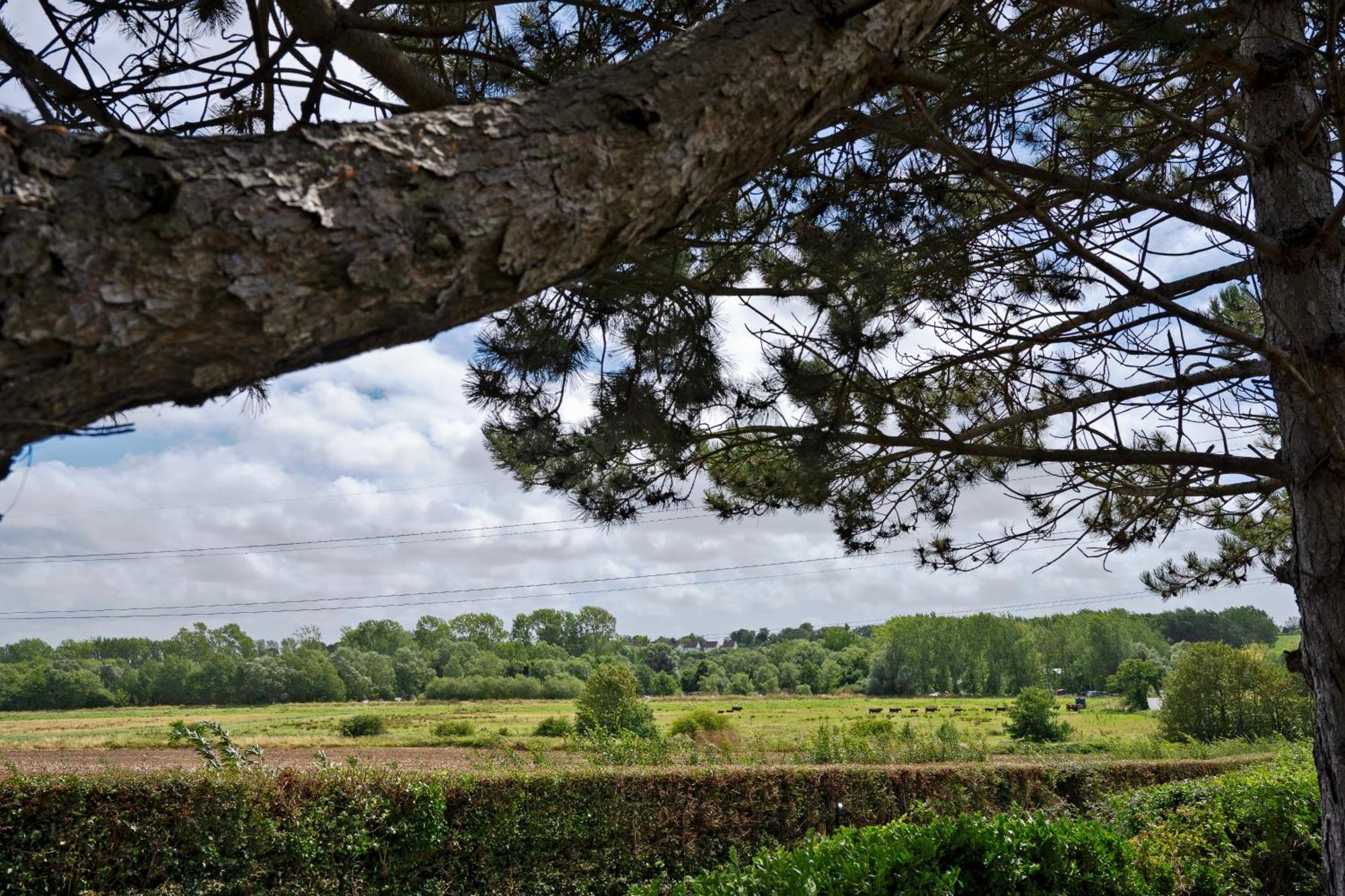 Owlet Lodge Chislet Bagian luar foto