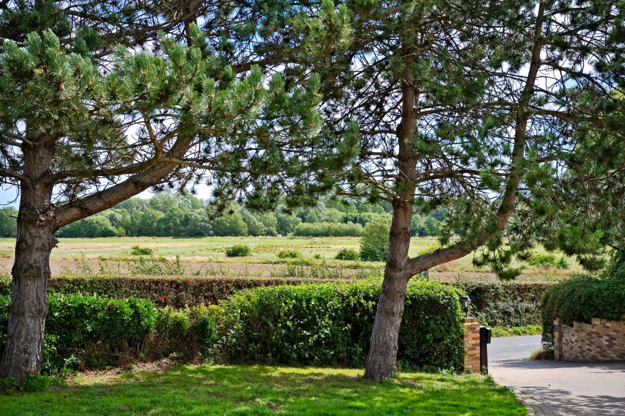 Owlet Lodge Chislet Bagian luar foto