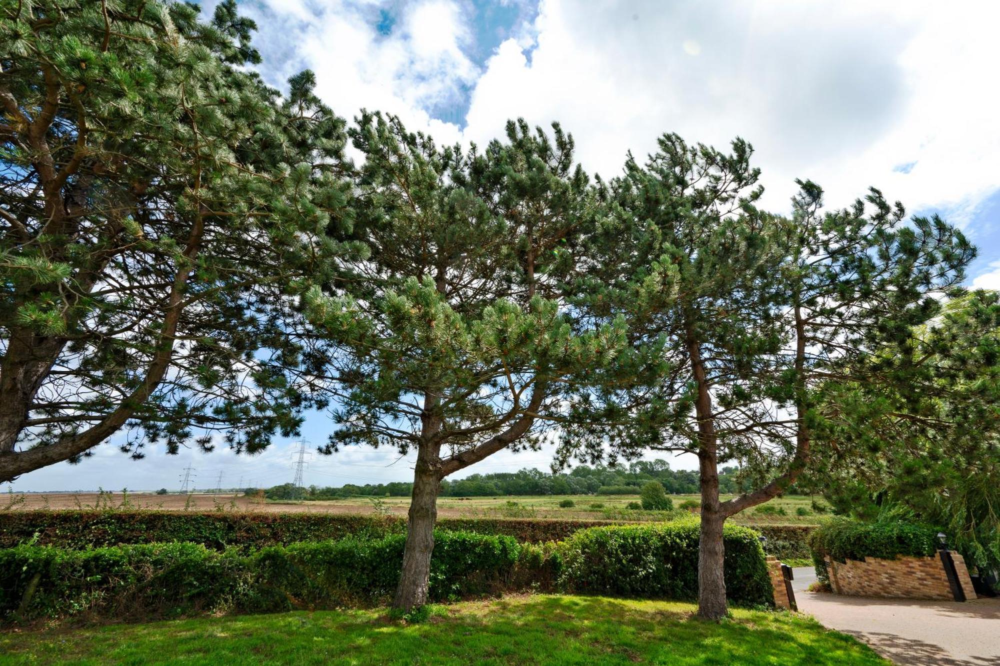 Owlet Lodge Chislet Bagian luar foto
